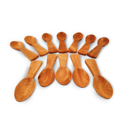 Neem Wood Condiments Spoon - Set of 12 - The Indus Valley